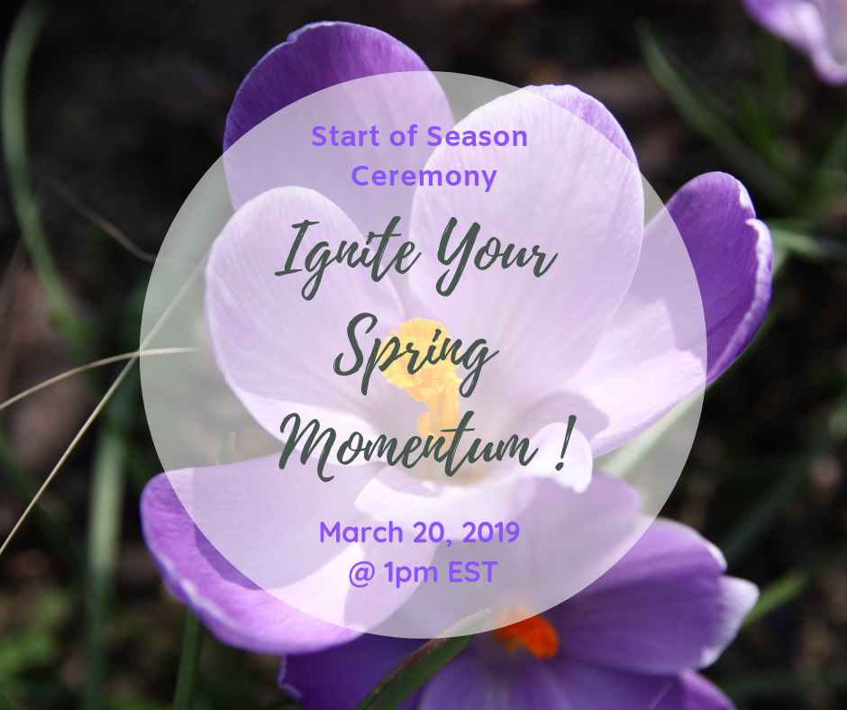 Ignite YOUR Spring Momentum ! (1)
