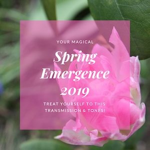 Spring Emergence 2019 image